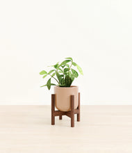 Load image into Gallery viewer, Glossy Pink stand:walnut