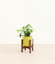 Load image into Gallery viewer, Key Lime Yellow stand:walnut