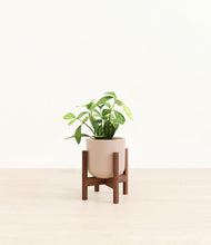 Load image into Gallery viewer, Sandy Pink stand:walnut