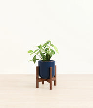Load image into Gallery viewer, Twilight Blue stand:walnut