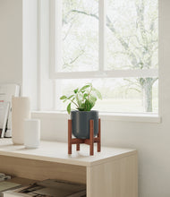 Load image into Gallery viewer, Iron Gray stand:walnut