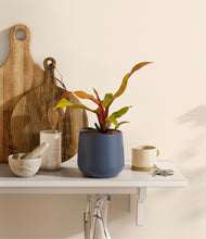 Load image into Gallery viewer, Deep Navy