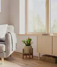 Load image into Gallery viewer, Olive stand:walnut