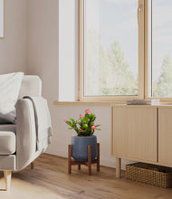 Load image into Gallery viewer, Deep Navy stand:walnut