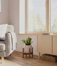 Load image into Gallery viewer, Eternal Gray stand:walnut