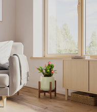 Load image into Gallery viewer, Turquoise stand:walnut