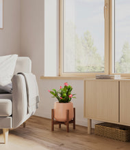 Load image into Gallery viewer, Calm Rose stand:walnut