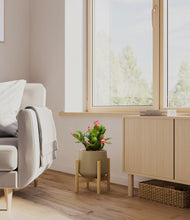 Load image into Gallery viewer, Olive stand:bamboo