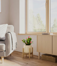 Load image into Gallery viewer, Almond Green stand:bamboo