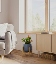 Load image into Gallery viewer, Deep Navy stand:bamboo