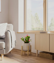 Load image into Gallery viewer, Eternal Gray stand:bamboo