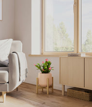 Load image into Gallery viewer, Gentle Pink stand:bamboo