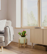 Load image into Gallery viewer, Turquoise stand:bamboo