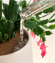 Load image into Gallery viewer, Eternal Gray stand:all