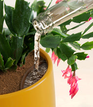 Load image into Gallery viewer, Mustard stand:all