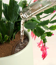 Load image into Gallery viewer, Turquoise stand:all