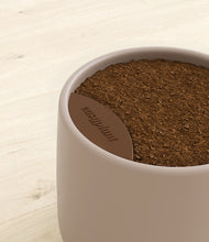 Load image into Gallery viewer, Eternal Gray