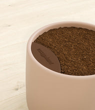 Load image into Gallery viewer, Gentle Pink