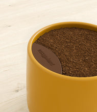 Load image into Gallery viewer, Mustard