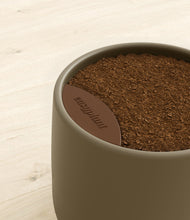 Load image into Gallery viewer, Olive