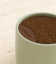 Load image into Gallery viewer, Turquoise