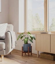 Load image into Gallery viewer, Deep Navy stand:walnut