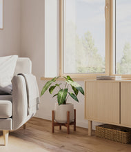 Load image into Gallery viewer, Eternal Gray stand:walnut