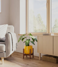 Load image into Gallery viewer, Mustard stand:walnut