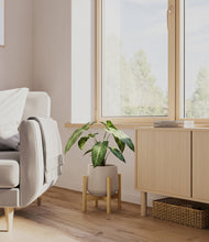 Load image into Gallery viewer, Eternal Gray stand:bamboo