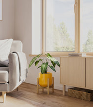 Load image into Gallery viewer, Mustard stand:bamboo