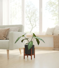 Load image into Gallery viewer, Black stand:walnut