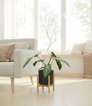 Load image into Gallery viewer, Black stand:bamboo