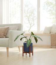 Load image into Gallery viewer, Deep Navy stand:walnut