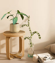Load image into Gallery viewer, Almond Green