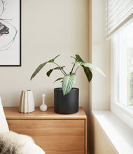 Load image into Gallery viewer, Black