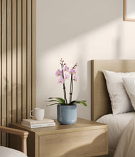 Load image into Gallery viewer, Misty Blue