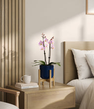 Load image into Gallery viewer, Twilight Blue stand:bamboo