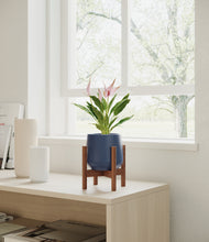 Load image into Gallery viewer, Deep Navy stand:walnut