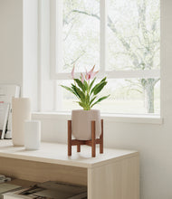 Load image into Gallery viewer, Eternal Gray stand:walnut