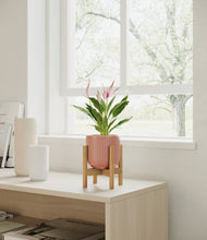 Load image into Gallery viewer, Striped Rose Pink stand:bamboo