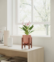 Load image into Gallery viewer, Striped Rose Pink stand:walnut