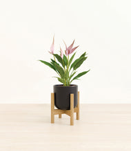 Load image into Gallery viewer, Stone Black stand:bamboo