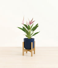 Load image into Gallery viewer, Twilight Blue stand:bamboo