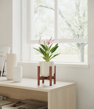 Load image into Gallery viewer, Cotton White stand:walnut