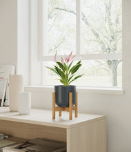 Load image into Gallery viewer, Iron Gray stand:bamboo