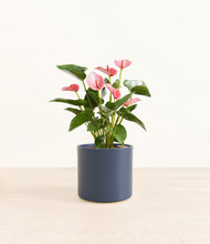 Load image into Gallery viewer, Deep Navy*****Profile