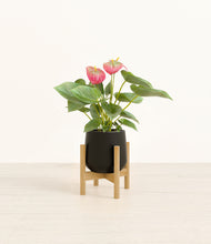 Load image into Gallery viewer, Black stand:bamboo