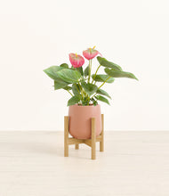 Load image into Gallery viewer, Calm Rose stand:bamboo