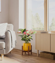 Load image into Gallery viewer, Mustard stand:walnut