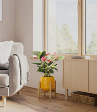 Load image into Gallery viewer, Mustard stand:bamboo